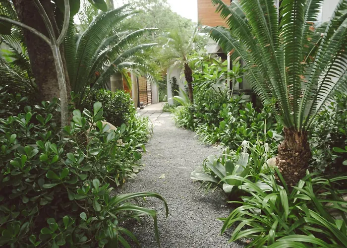Casa Dominick - Luxury A Short Walk From The Sea Nosara